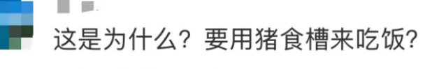 咖啡店开猪圈里了???网友:“粪围感十足”