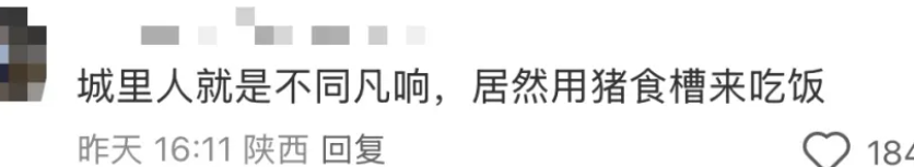咖啡店开猪圈里了???网友:“粪围感十足”