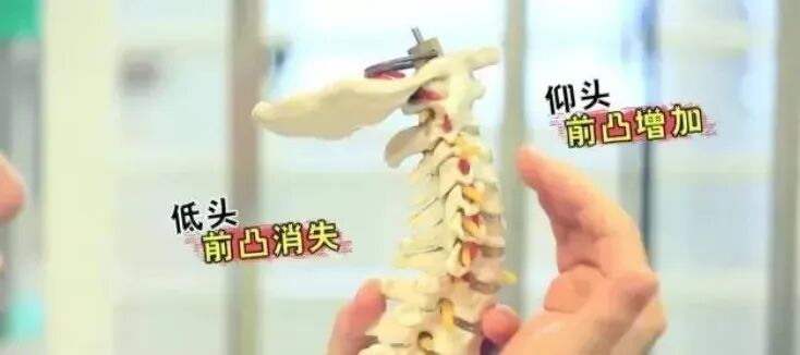 原来睡觉需要2个枕头!医生:一个用来枕头,另一个用来……