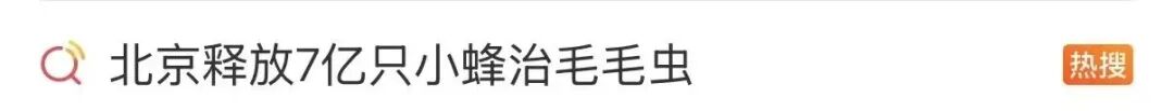 “北京毛毛虫”冲上热搜,发现可打12345!