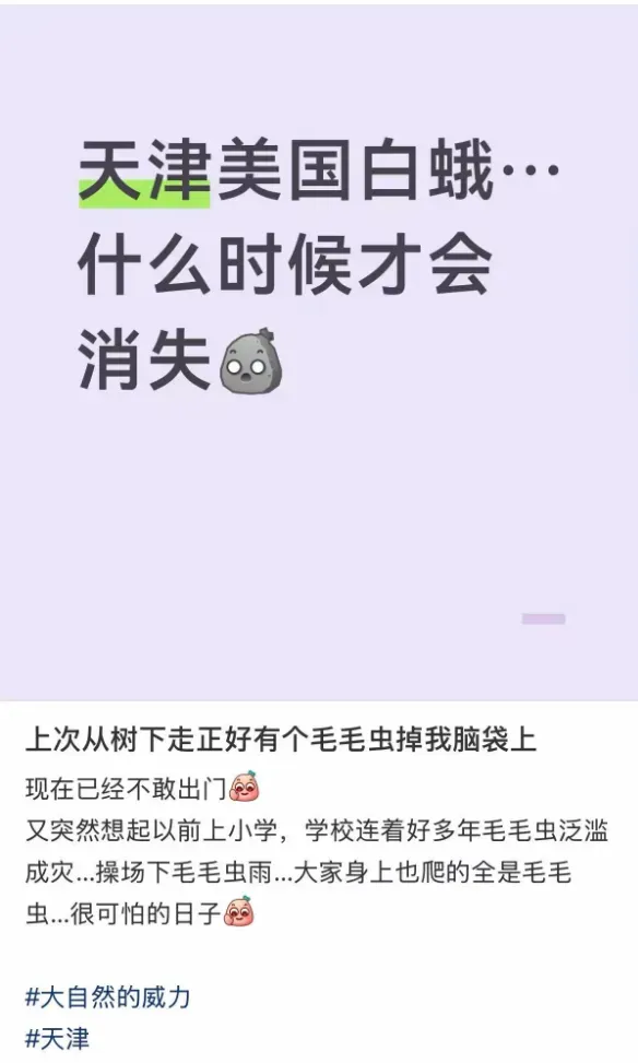 “北京毛毛虫”冲上热搜,发现可打12345!