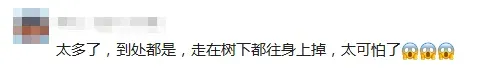 “北京毛毛虫”冲上热搜,发现可打12345!