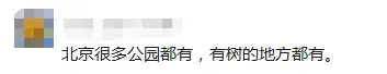“北京毛毛虫”冲上热搜,发现可打12345!