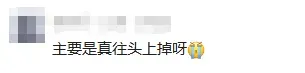 “北京毛毛虫”冲上热搜,发现可打12345!