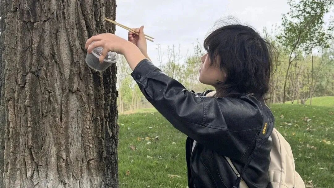 抓毛毛虫大赛,抓4000条仅排第二名?重要提醒——
