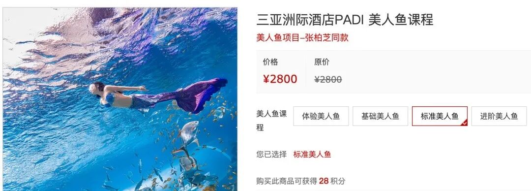 一生要强的中国人,连度假都要「考个证」?