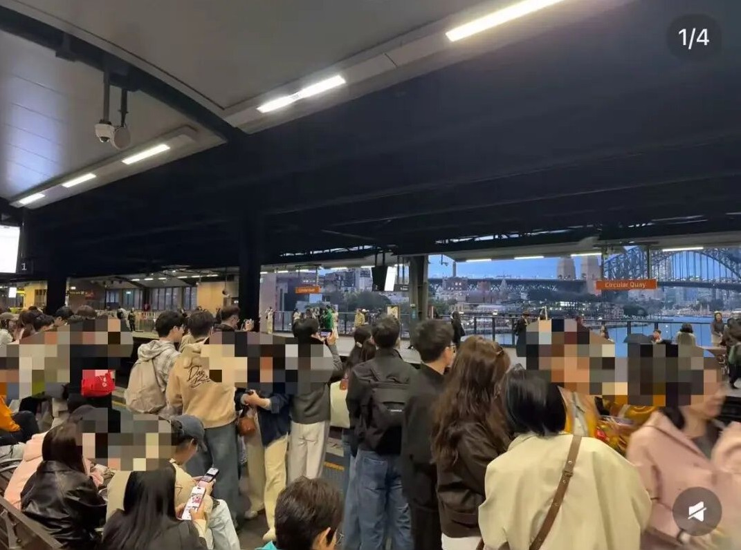 “全世界都知道中国人放假了”冲上热搜，网友称“澳洲海边都是普通话、冰岛挤满同胞”，有人叹气：以后不选国庆出国了