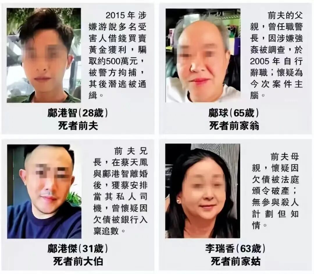 蔡天凤碎尸案细节曝光，千万豪宅为何引发血色纠葛