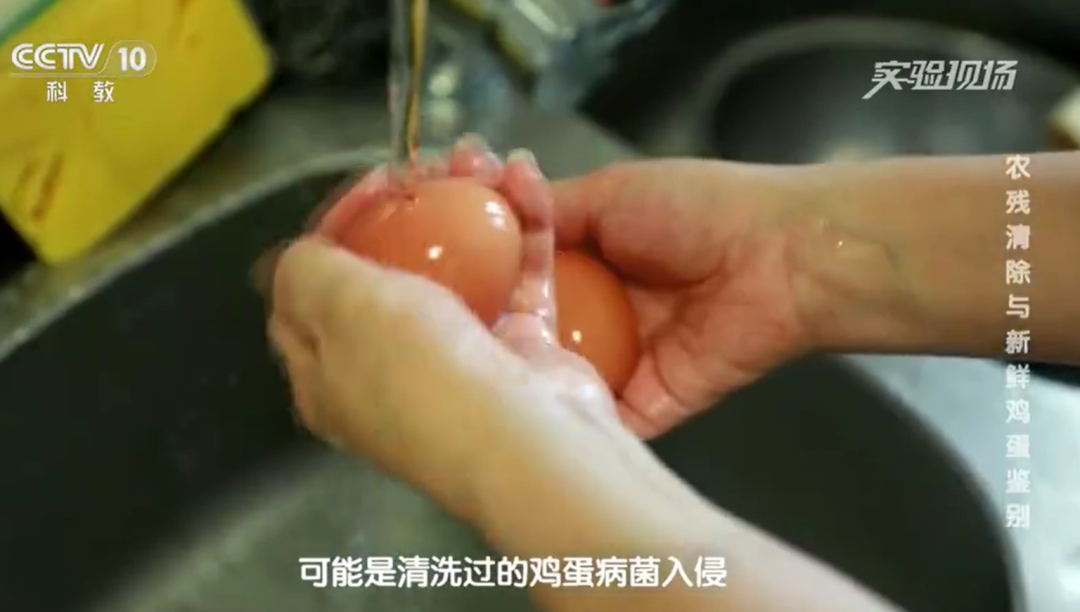一家三口吃炒鸡蛋中毒!紧急提醒:买回来千万别洗,就算放冰箱也会加速变质,很多深圳人做错了