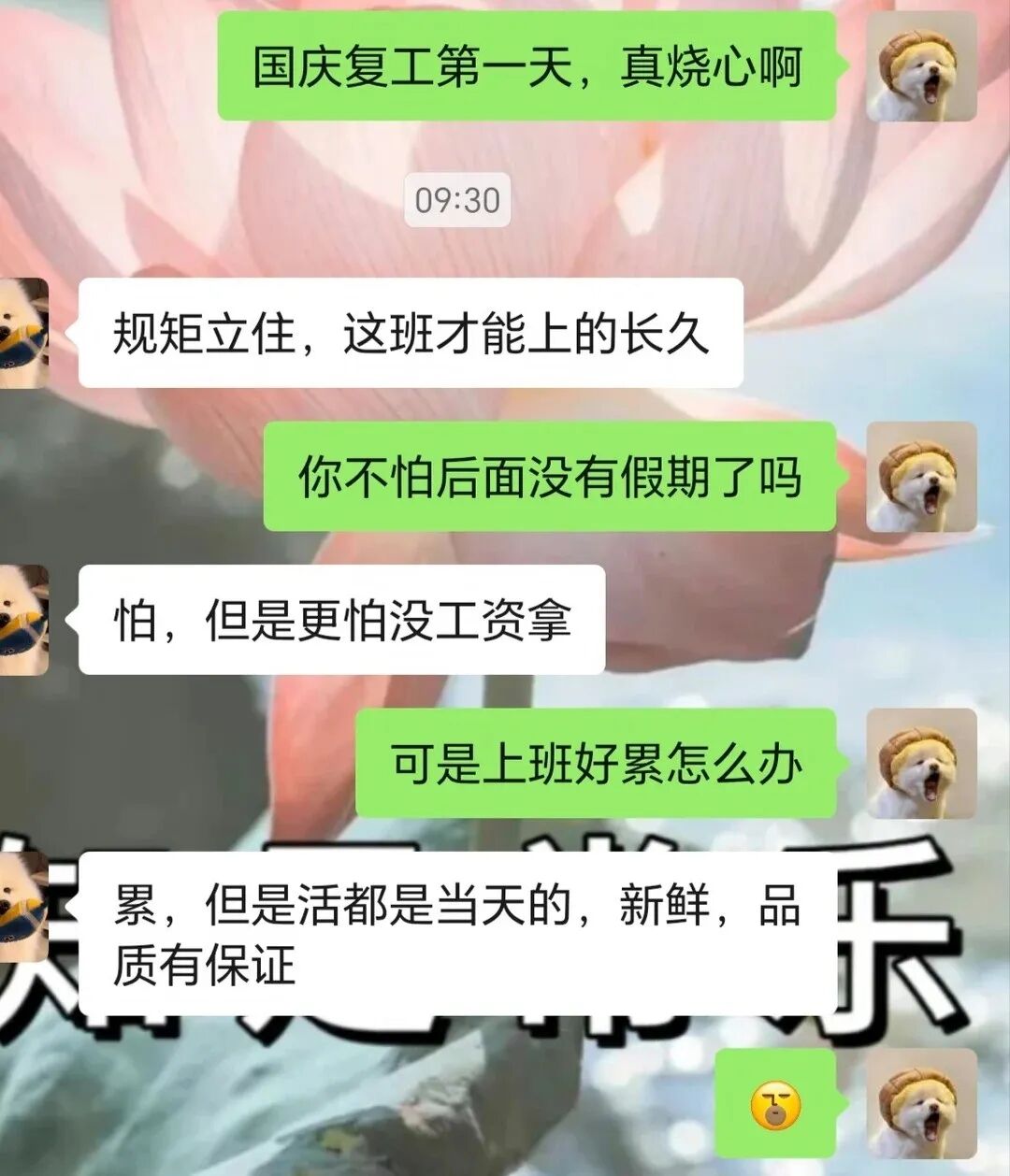 “返工第一场调休,我被「不烧心文学」拯救了”