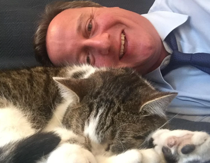熬走六任首相,“英国第一猫”紧急接受手术!在唐宁街15年,英国人都担心坏了...