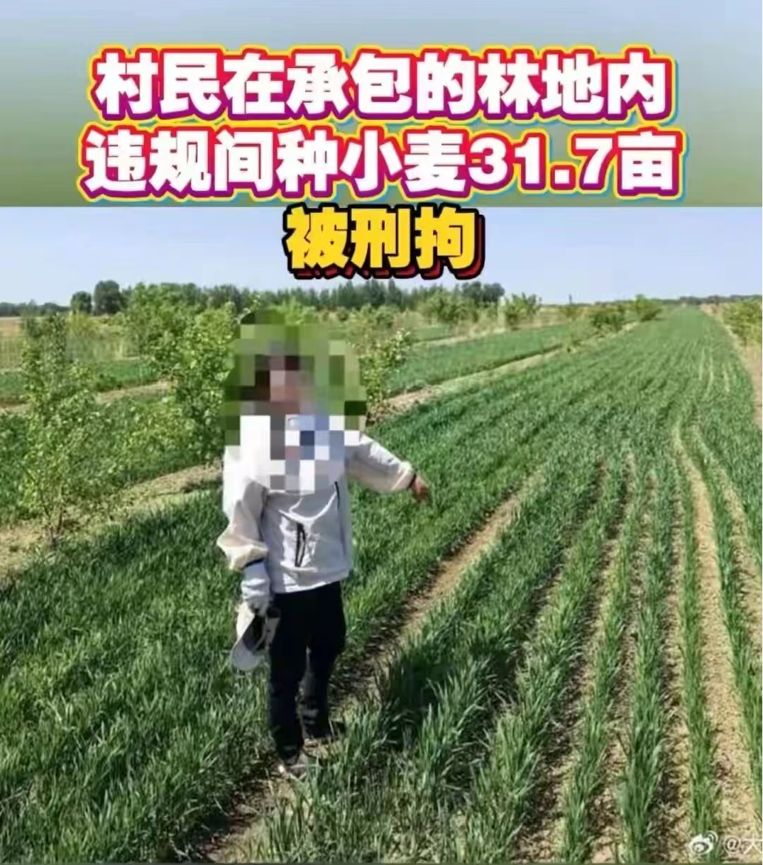 男子同时和不同女子办婚宴和百日宴?其实他事前不知道有百日宴