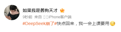 今早,DeepSeek突然崩了!网友崩溃:我的工作怎么办?