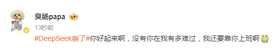 今早,DeepSeek突然崩了!网友崩溃:我的工作怎么办?