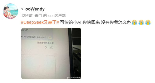 今早,DeepSeek突然崩了!网友崩溃:我的工作怎么办?