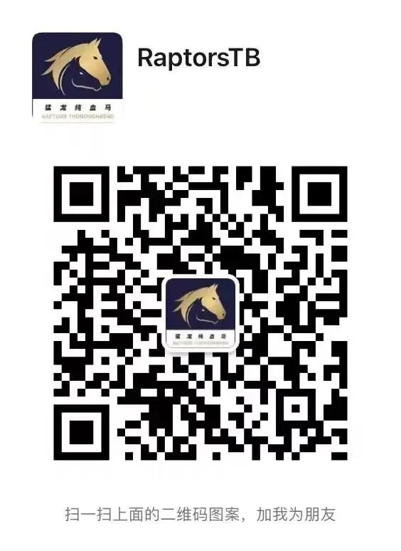 一马当先!新西兰华人马主喜提10万纽币大赛冠军!