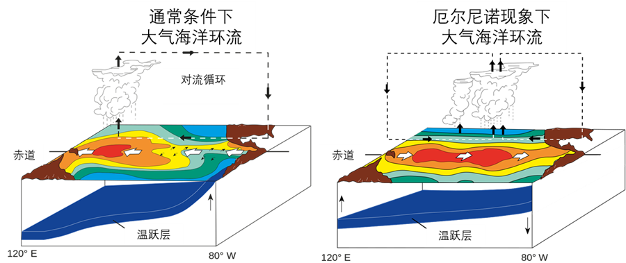 “花园城市”新加坡,最近空气这么差了?
