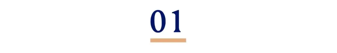 79岁老人独自坐火车去见“苦命小海”,上车才知道对方是AI