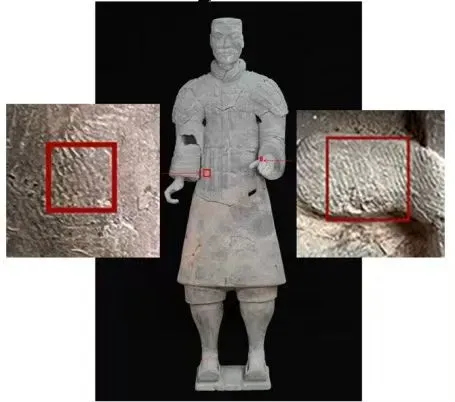 秦始皇兵马俑上发现成年女性指纹和15岁以下少年指纹,学界首次以量化的生物学证据表明,除成年男性外,女性与少年可能也参与了秦俑制作