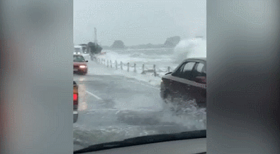 nelson 020102GIF