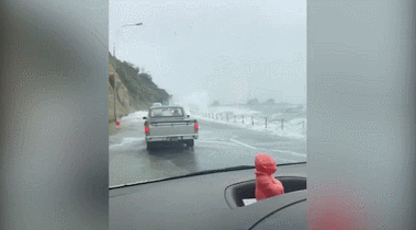nelson 0201GIF