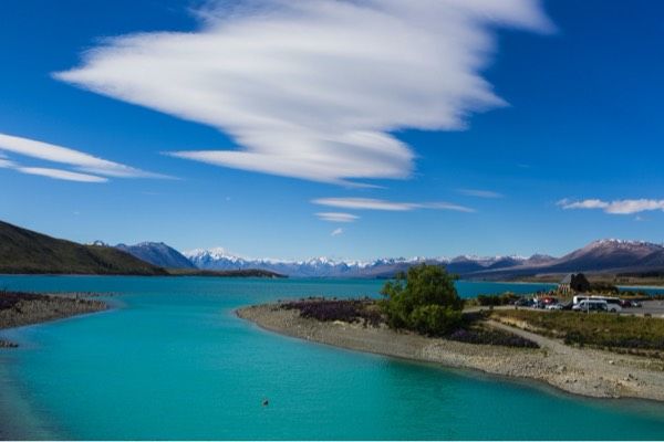 nz