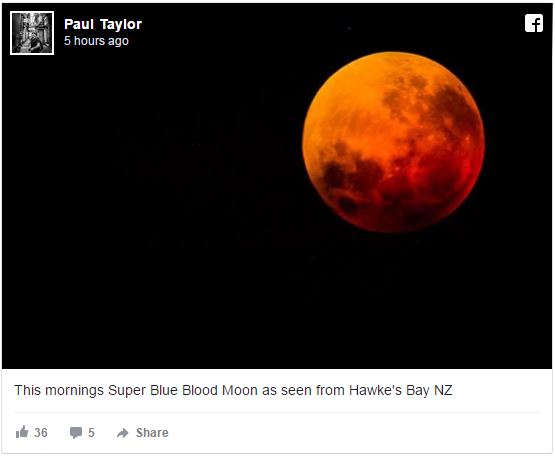 paul taylor photo