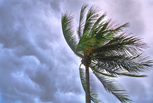 又变天了！今天奥克兰狂风暴雨来袭！