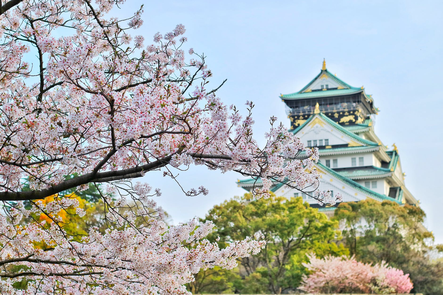 日本将对中国游客开启网签通道 明年4月后全部网申