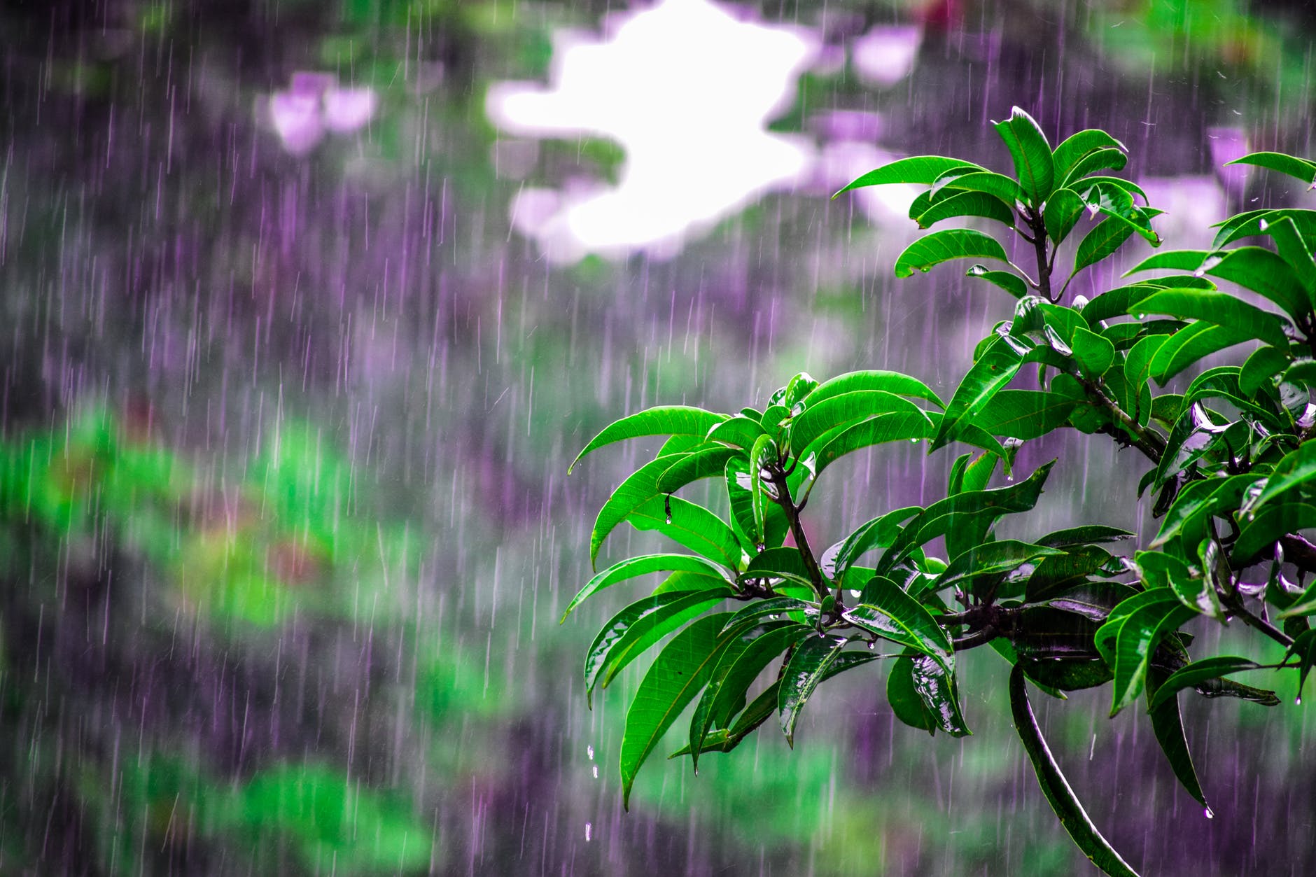 晴好天气即将结束，请做好迎接下雨天的准备