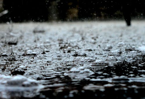 奥克兰暴雨：洪水泛滥、树木倒塌、多地停电…今天恶劣天气持续