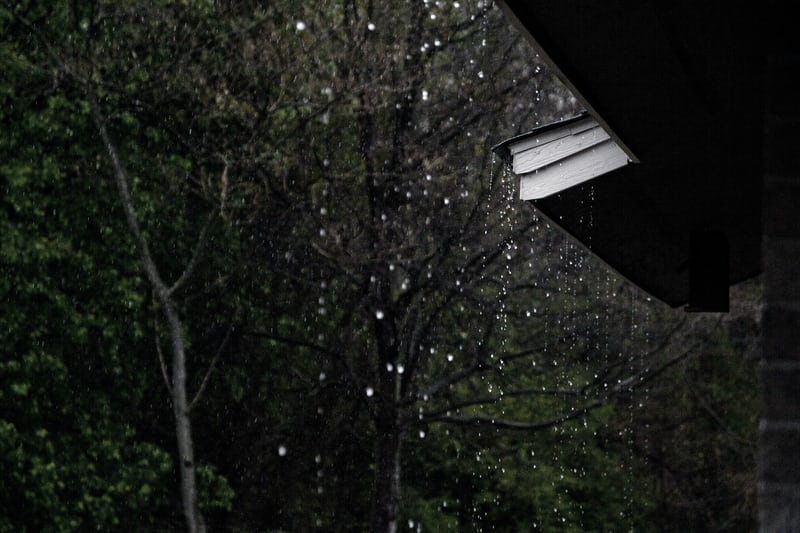 倾盆大雨致奥克兰大面积停电，北岛恶劣天气恐持续