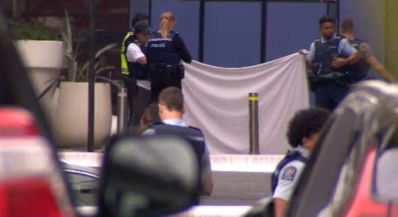police-beyond-a-cordon-at-sylvia-park-holding-up-a-white-she-LXMACJT74VCABFJZAJ7DLYVHLI.png | 事件升级！男子持枪冲向奥克兰最大商场，警方追击后连开3枪
