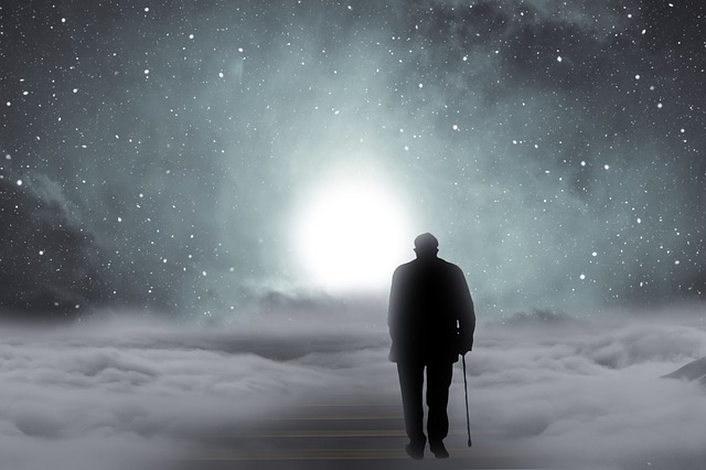 【我的新西兰】如何有尊严的老去？