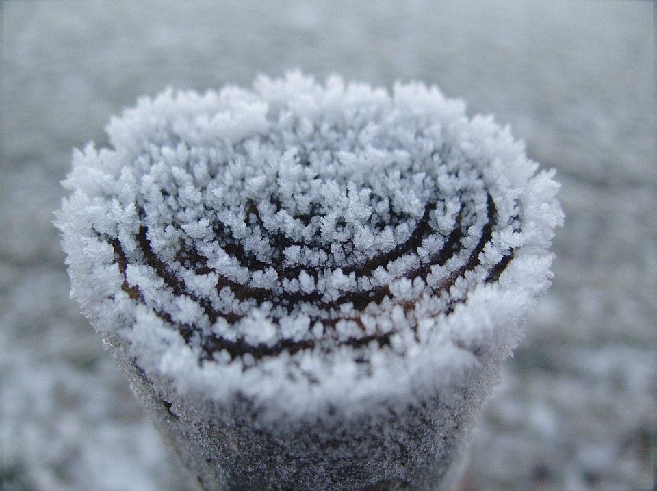 冷！恶劣天气席卷新西兰 南岛大雪要来了！ | 多地雨雪交加  新西兰进入“极冻模式”！明天恶劣天气正面袭击北岛 | 寒潮再度来袭！全国大降温 南岛迎来强降雪