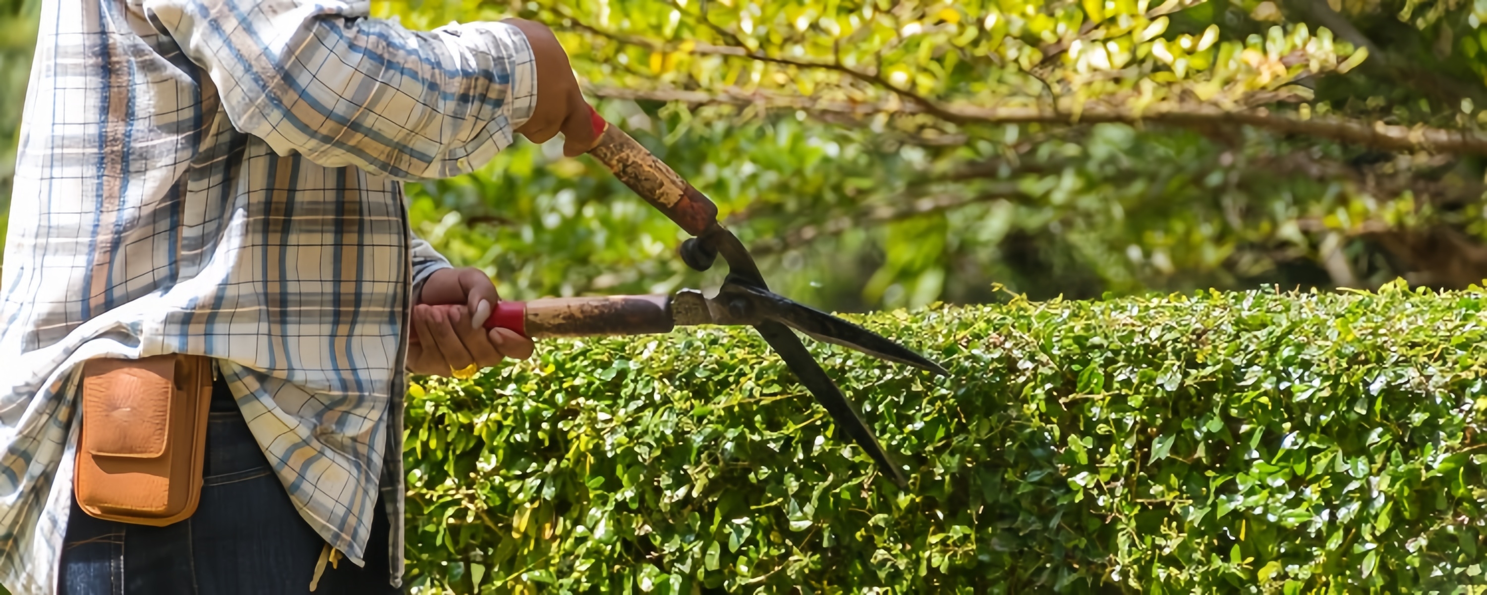 spring_maintenance_hero_副本