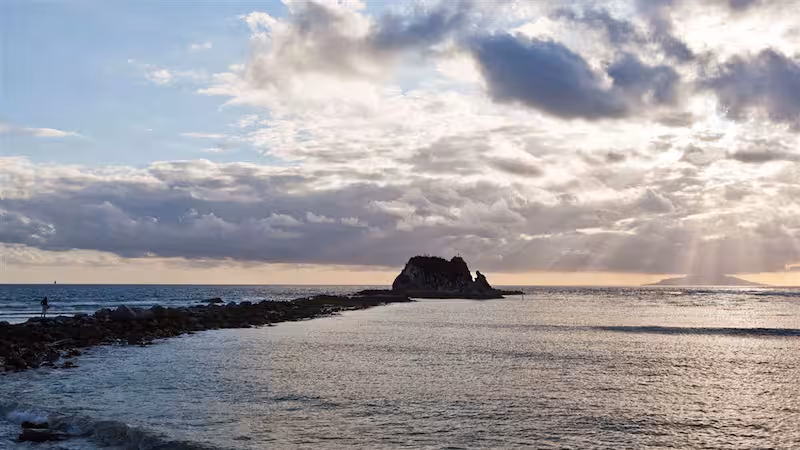 te-hauturu-o-toi-little-barrier-island-nature-reserve-source-XKOY6JOJG5FSVLU2GG3UZOLA2M.png