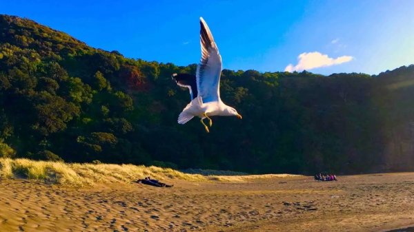 tianshu sunset piha 4