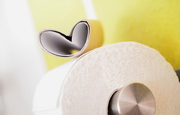 toilet paper 627032 640