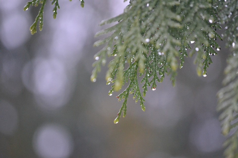 一夜入冬！狂风暴雨记得带伞，气温骤降注意保暖