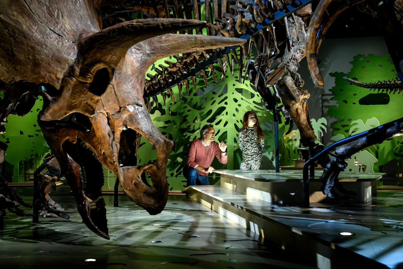 triceratops_-de-kudde-doorkijkje-foto-mike-bink_naturalis-biodiversity-center-1-1