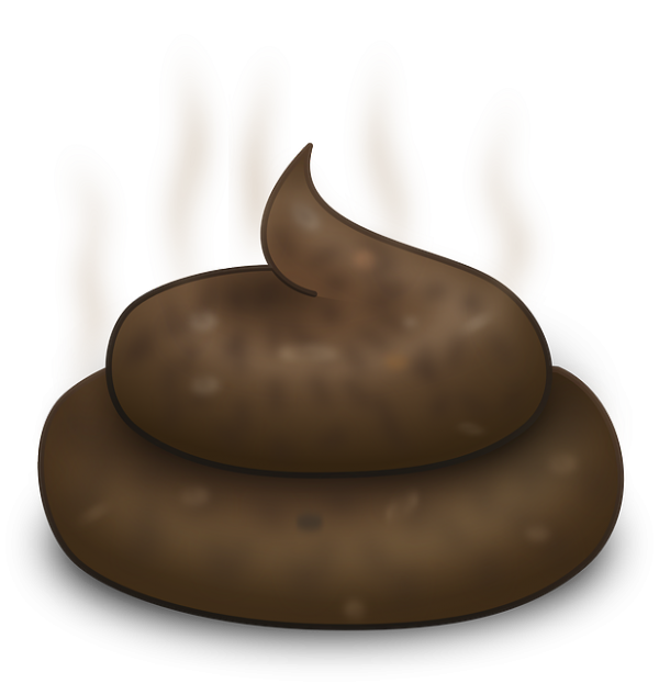 turd 146305 640