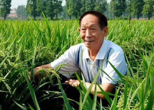 袁隆平逝世