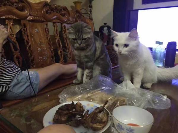 为什么街头烤肠、麻辣烫、关东煮、烧烤这些东西不断被人说不健康甚至致癌，可销量却丝毫不受影响？
