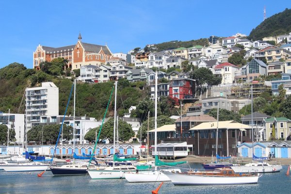 wellington 1584264 960 720