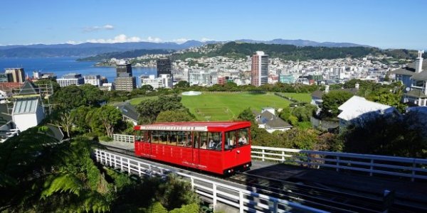 wellington3