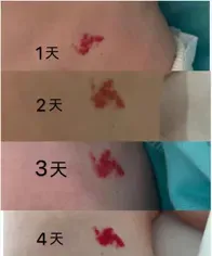 图片8.png 图片