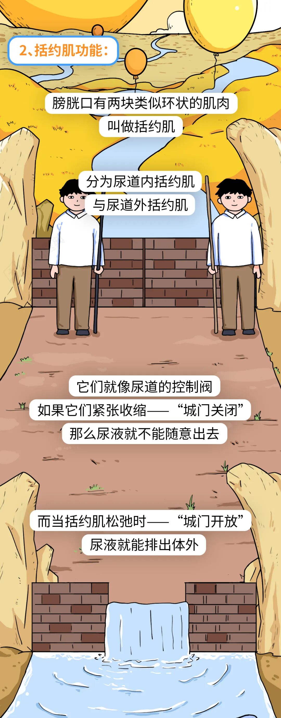 喝完水就上厕所和大半天不尿，哪种情况更需要警惕？