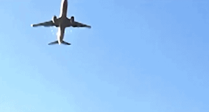 1735460162903305.gif 图片