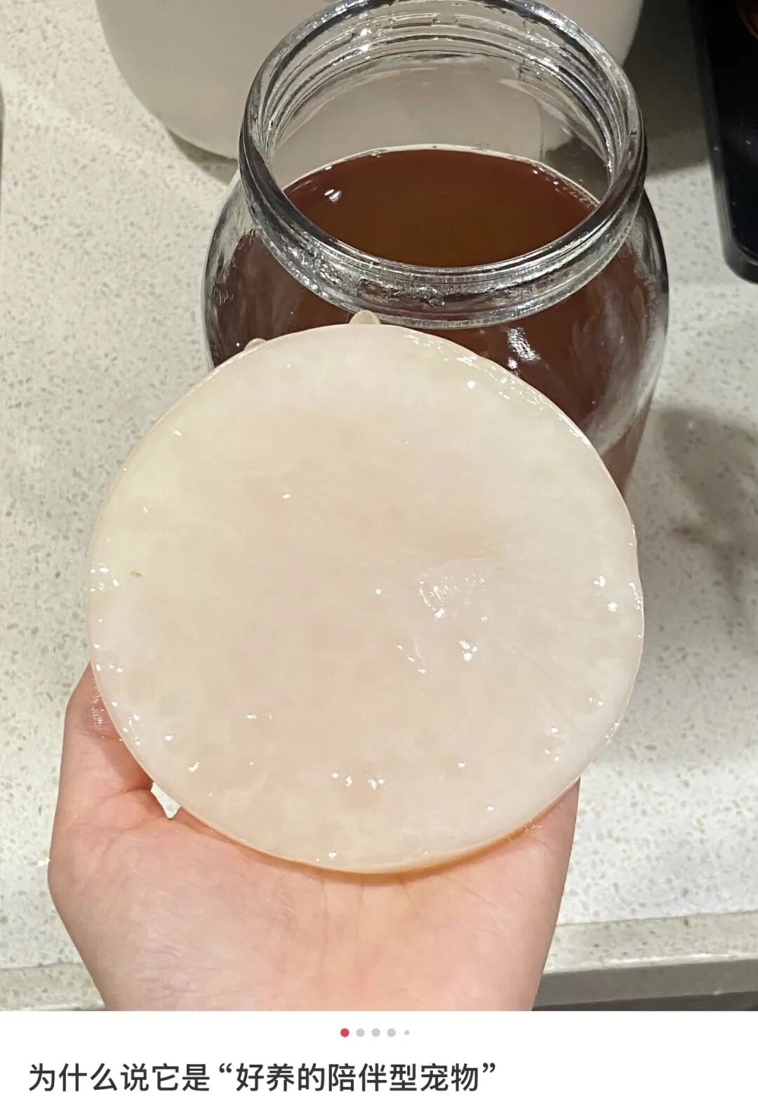 不想运动节食的人,开始靠“养菌”减肥了